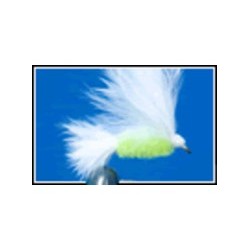Cats Whisker
