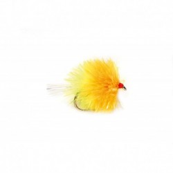 Cocktail Sunburst