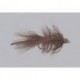 Conehead Brown Krystal Bugger Tng Weighted