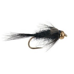 Black Gnat