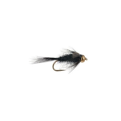 Black Gnat