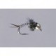 Blk White Zebra Copper