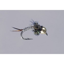 Blk White Zebra Copper