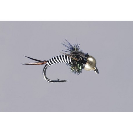 Blk White Zebra Copper