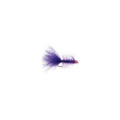 Egg Sucking Crystal Leech