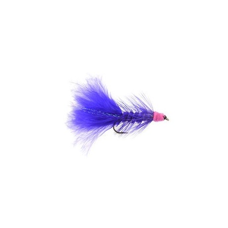 Egg Sucking Leech Purple