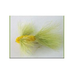 Flogmoth