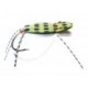Foam Frog Olive White