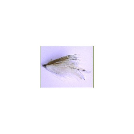 Golden Olive Back White Fish
