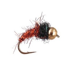 Bright Copper Nymph