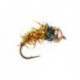 Bright Golden Nymph