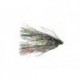 Ingis Disco Teaser Rainbow