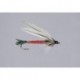 Light Spruce Fly