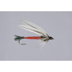 Light Spruce Fly