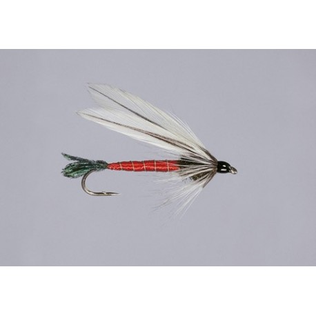 Light Spruce Fly