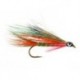 Little Brook Trout