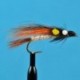 Little Brown Trout