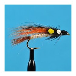 Little Brown Trout
