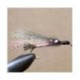 Little Rainbow Trout
