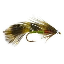 Matuka Olive
