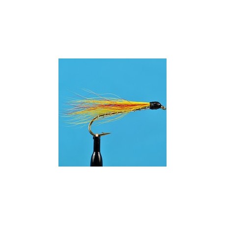 Mickey Finn