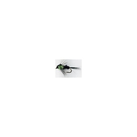 Montana Green