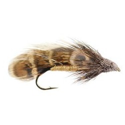 Muddler Sculpin