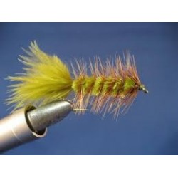 Olive Bunny Leech