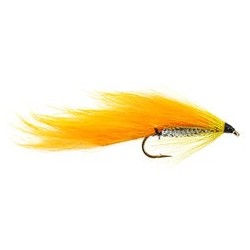 Orange Zonker