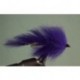 Purple Bunny Leech