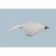 Rainys Conehead White Flash Bunny Weighted