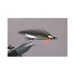 Scaled Shiner