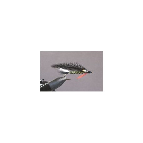 Scaled Shiner