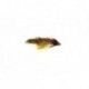 Senyo's Iced Out Sculpin Olive