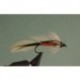 Spruce Matuka