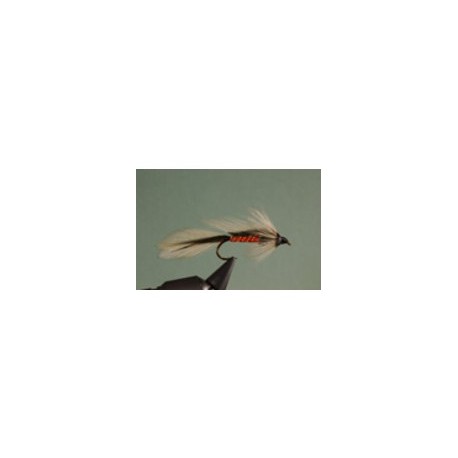 Spruce Matuka