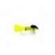 Wasp Montana