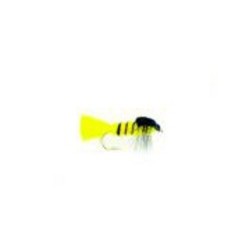 Wasp Montana