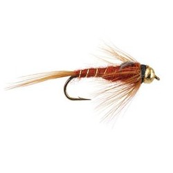 Damsel Brown