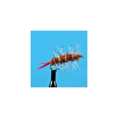 Woolly Worm Brown