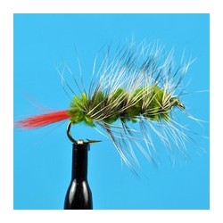 Woolly Worm Olive