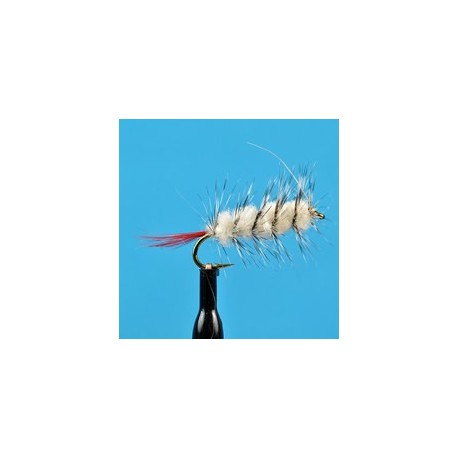 Woolly Worm White