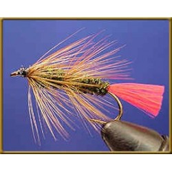 Worm Fly