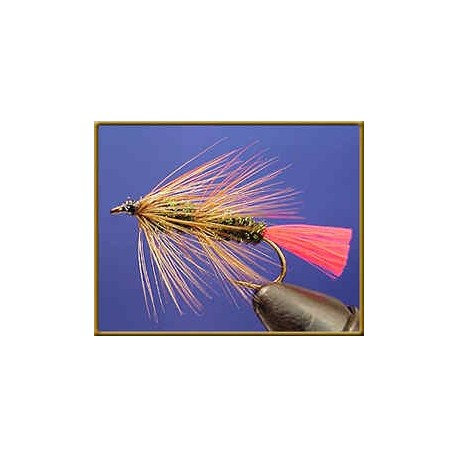 Worm Fly