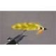 Yellow Perch