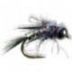 Davies Black Widow Weevil