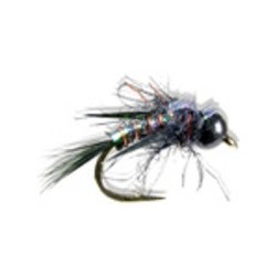 Davies Black Widow Weevil