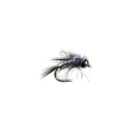 Davies Black Widow Weevil