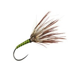 Sakasa Kebari Olive CDC