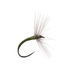 Sakasa Kebari Slim Olive